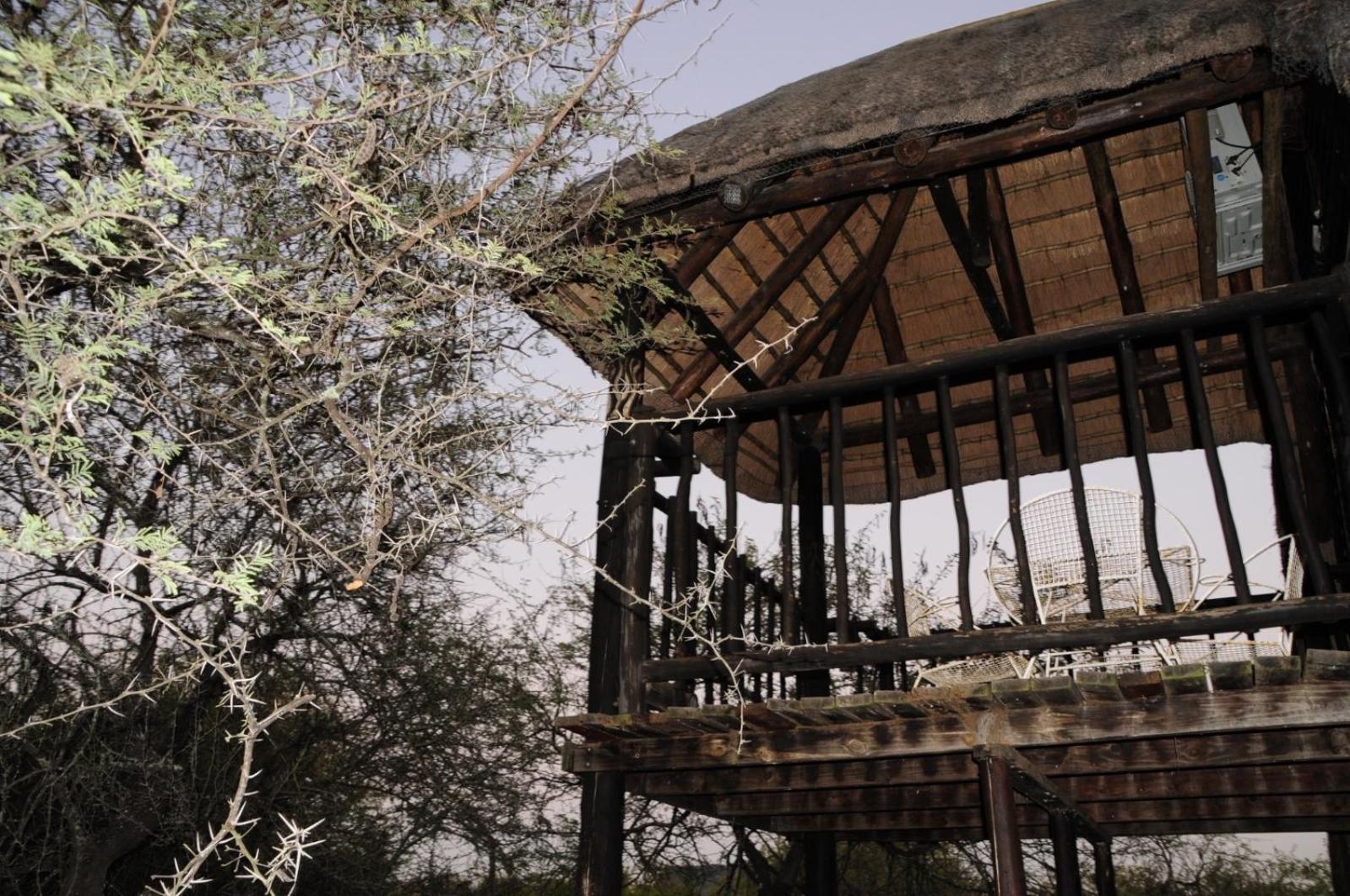 Lidvubu * Marloth Park